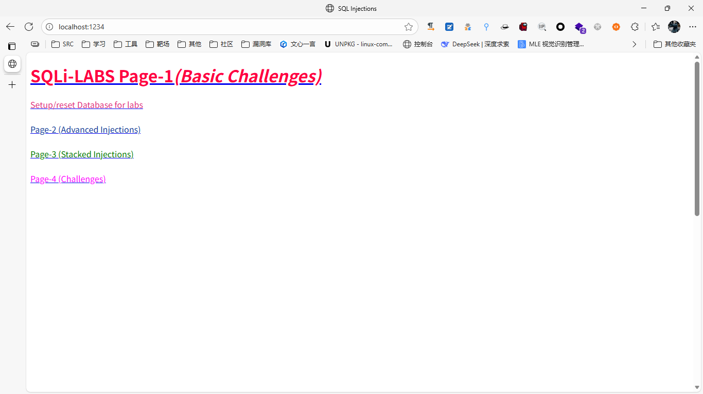 image-20251110210410763