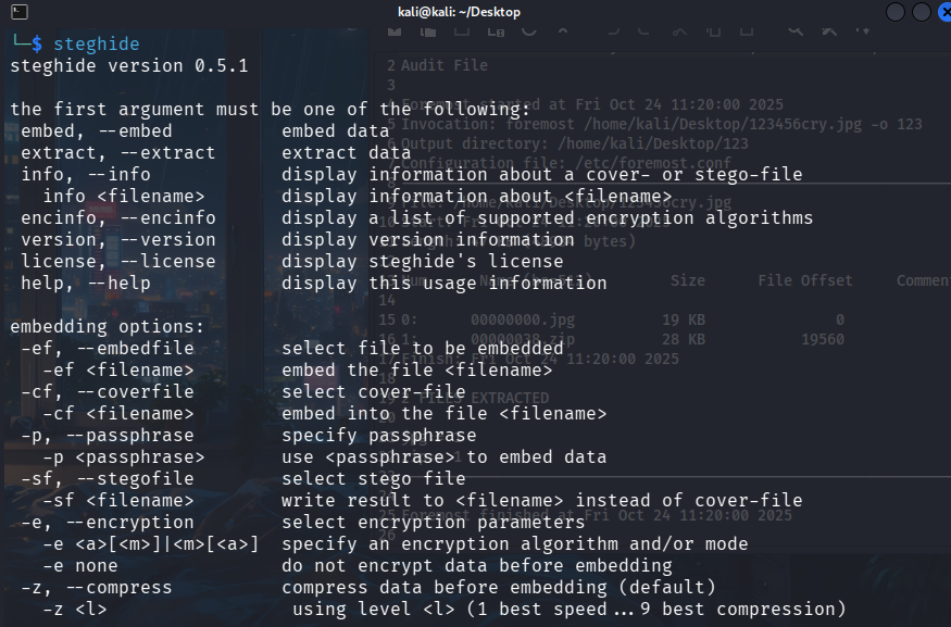 image-20251024234718310